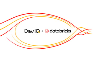 DevIQ + Databricks Acceleration
